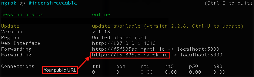 Ngrok server terminal output.