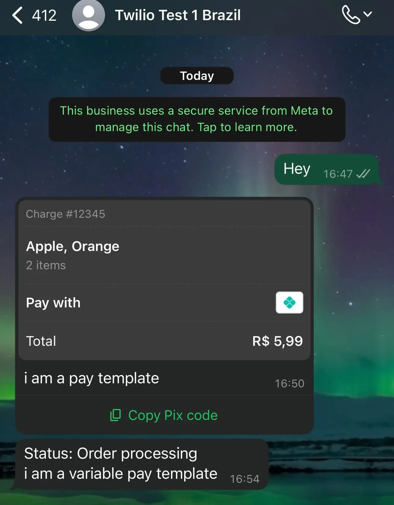 pay content template 2- message preview.