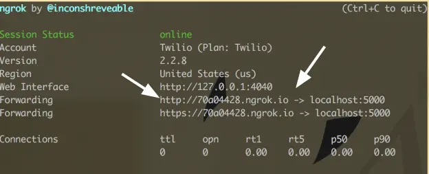 Ngrok session status online with forwarding URLs to localhost:5000.