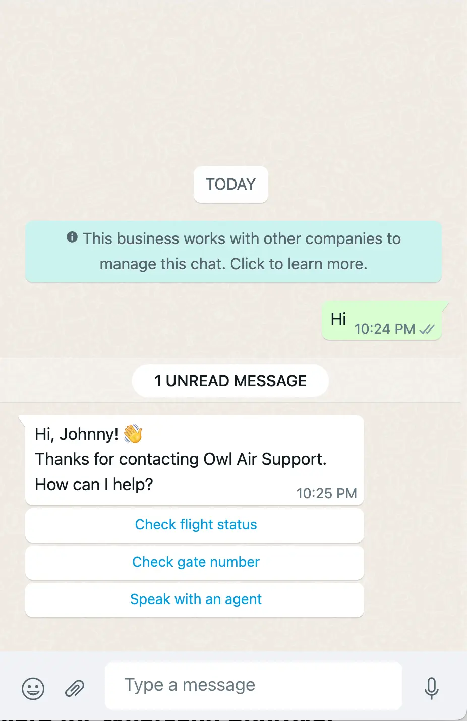 Owl Air Support chat offering options to check flight status, gate number, or speak with an agent.