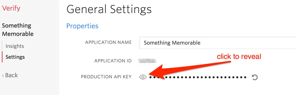 General settings showing application name and blurred API key with reveal option.
