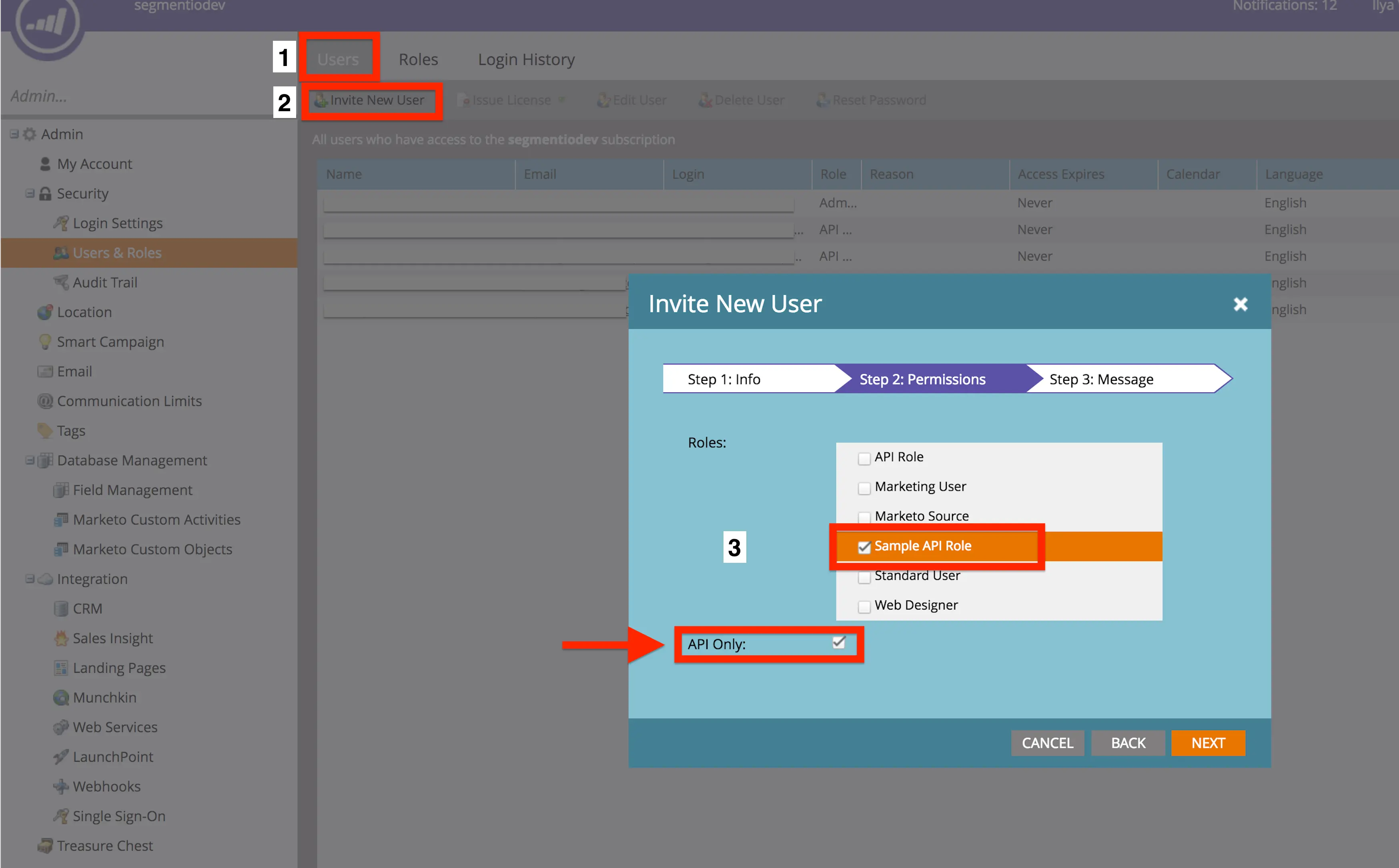 Invite New User popup in Marketo with 'Sample API Role' and 'API Only' selected.