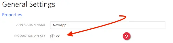 General settings showing application name 'NewApp' and obscured production API key.