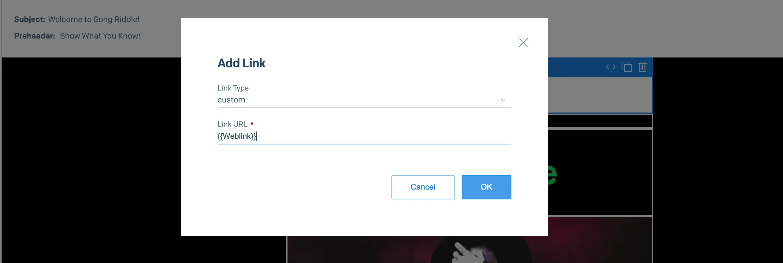 Add Link modal with fields for Link Type and Link URL, showing 'custom' and '{{Weblink}}'.