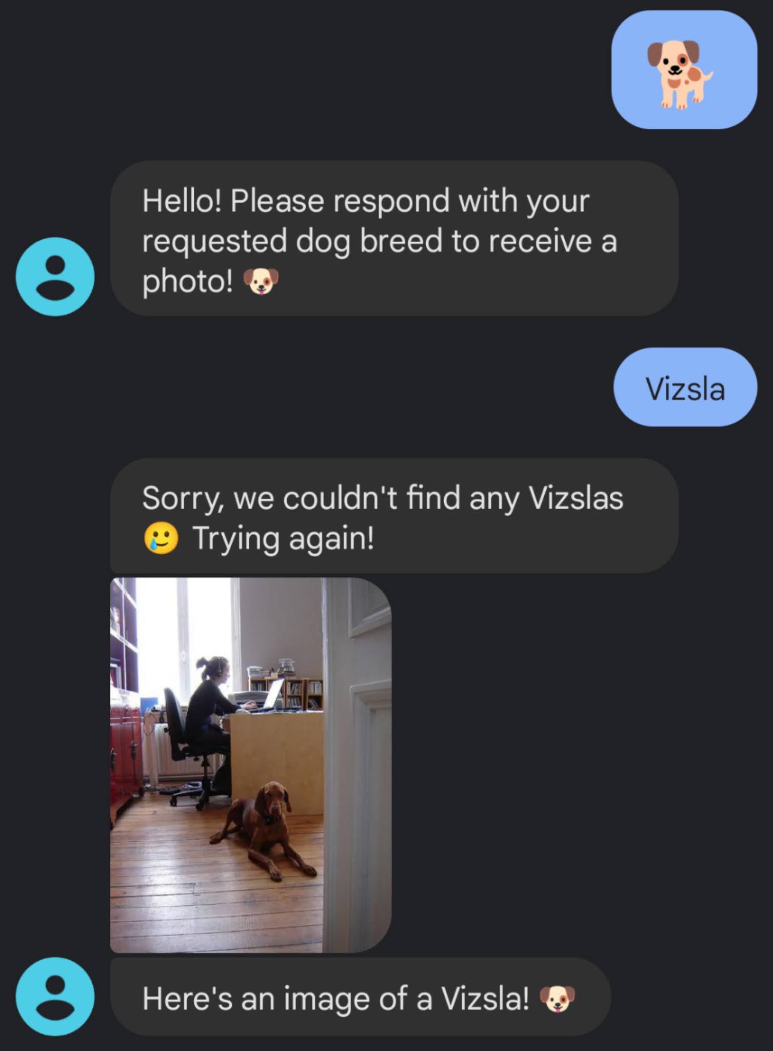 Error recovery loop and message.