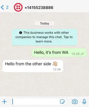 WhatsApp chat showing a message from WA and a reply with a waving hand emoji.