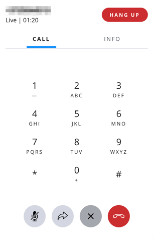 DTMF dialpad.