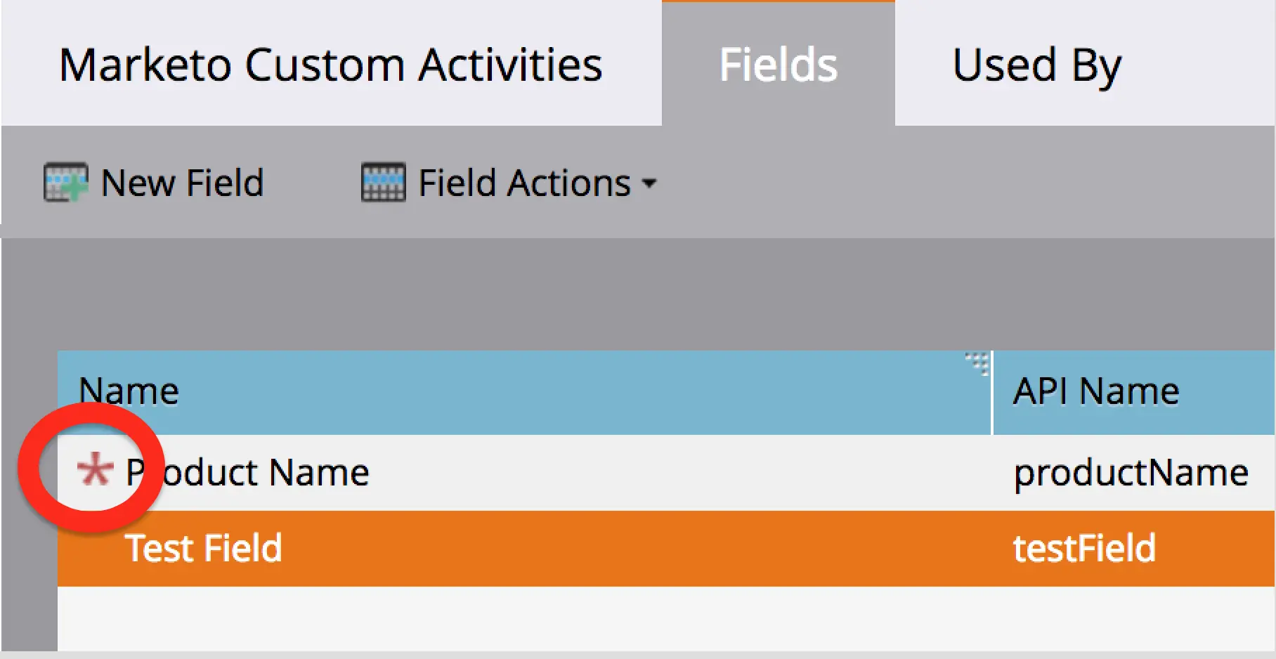 Marketo Fields tab showing Product Name with API name productName.