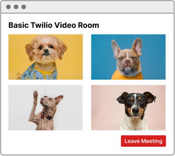 basicvideochat.png.