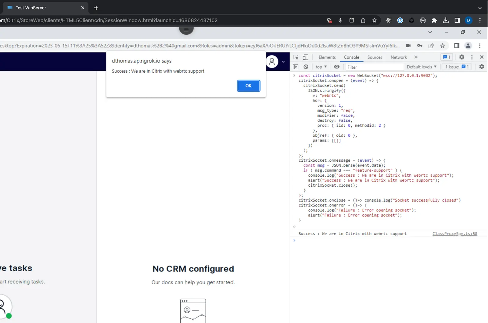 Alert message confirming Citrix with WebRTC support and console code snippet.