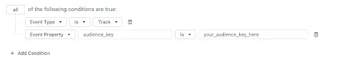 Conditions for audience key in event type track settings.