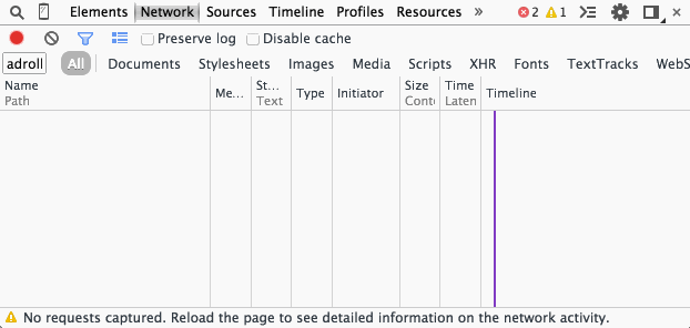 Checking network tab to see if script loads.