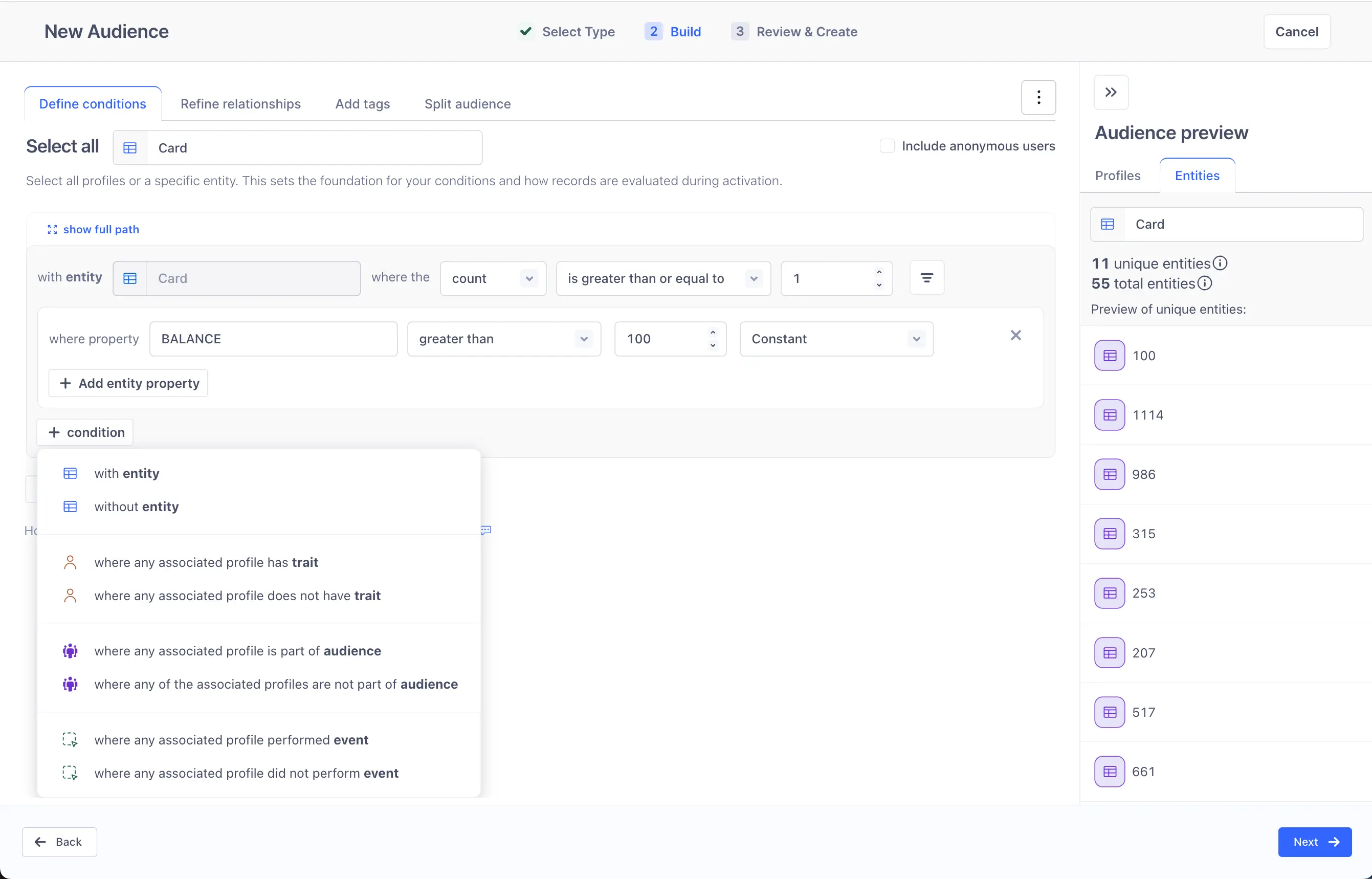 Interface for defining audience conditions with entity and balance filters.