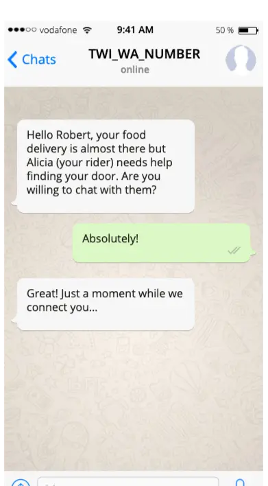 Chat confirming food delivery and connecting customer with rider for assistance.