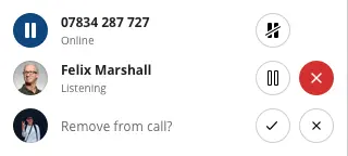 Participant list showing call status and options to mute or remove.