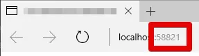 Visual Studio browser showing localhost port 58821.