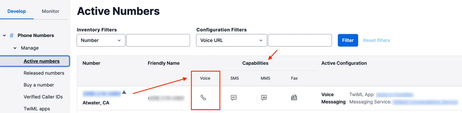 Dashboard showing active phone numbers with voice capability filter applied.
