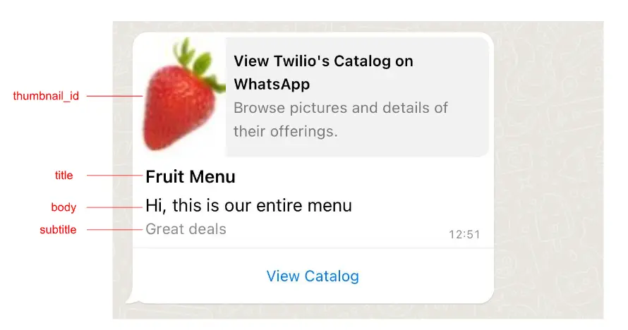 WhatsApp catalog preview with fruit menu and great deals subtitle.